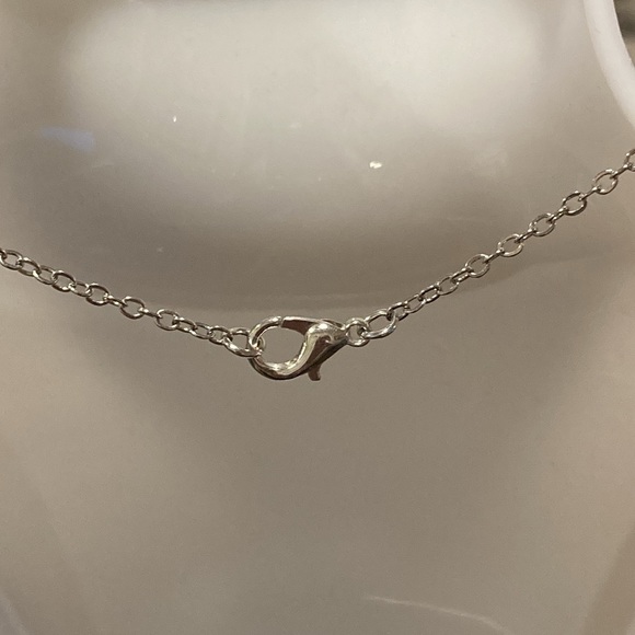 NWOT - New EFFY Silvertone Necklace & Frog Charm - Picture 9 of 10